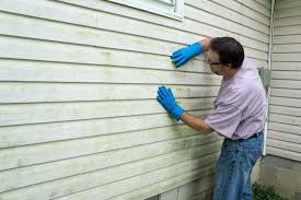 Best Siding Painting and Refinishing  in Garden City South, NY